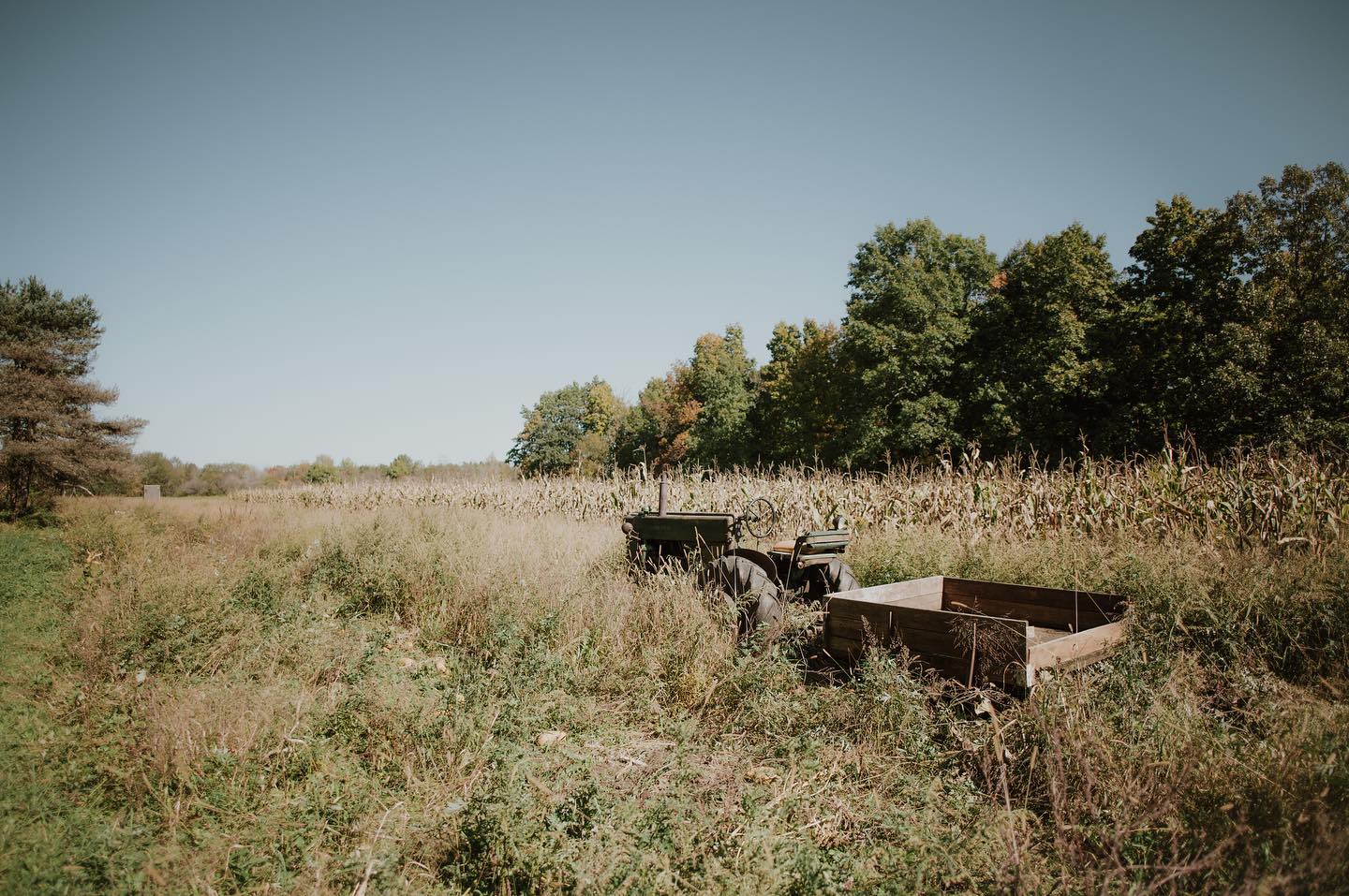 day twenty-one: landscape.

this is the landscape of one of my favorite places, my grandpa’s house. 🥰

fun fact: my grandpa bought this tractor when he was 17!

#waylandfallchallenge